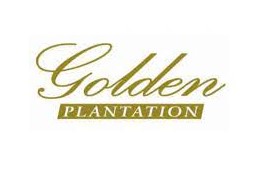 Gaji PT Golden Plantation Tbk