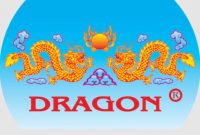 PT Dragon Group