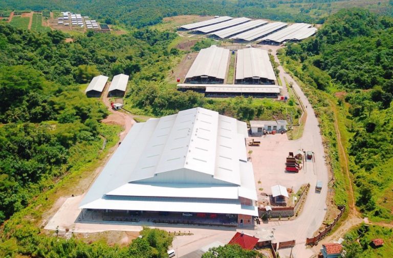 Widodo makmur Gaji pt widodo makmur perkasa