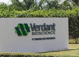 Gaji PT Verdant Bioscience