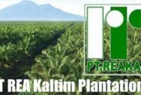 Gaji PT REA Kaltim Plantations