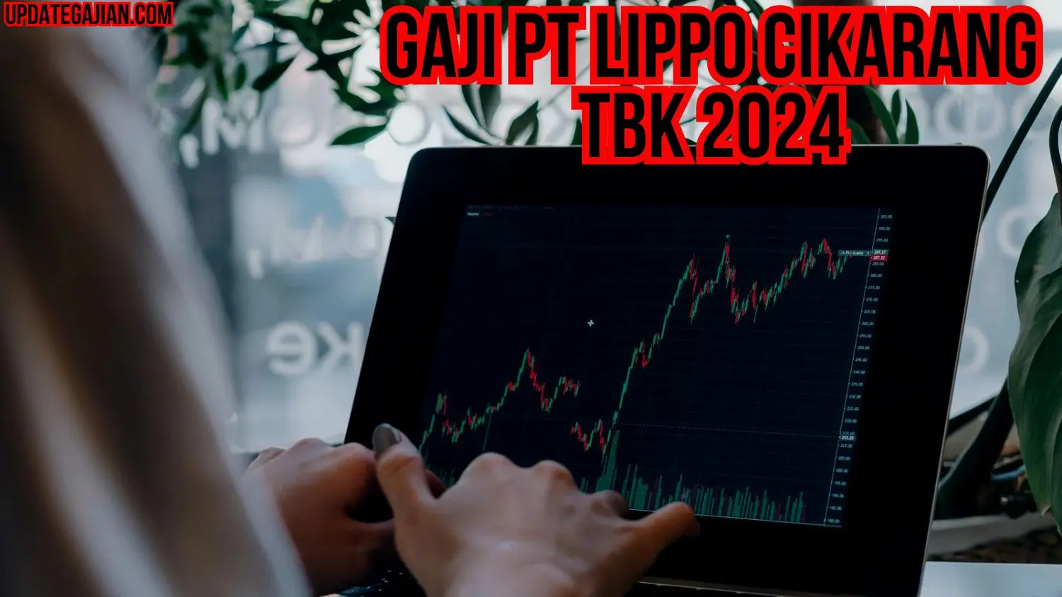 Gaji PT Lippo Cikarang Tbk 2024