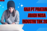 Gaji PT Pratama Abadi Nusa Industri Tbk 2024