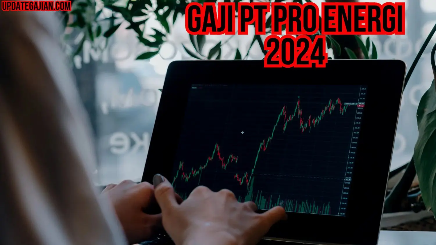 Gaji PT Pro Energi 2024