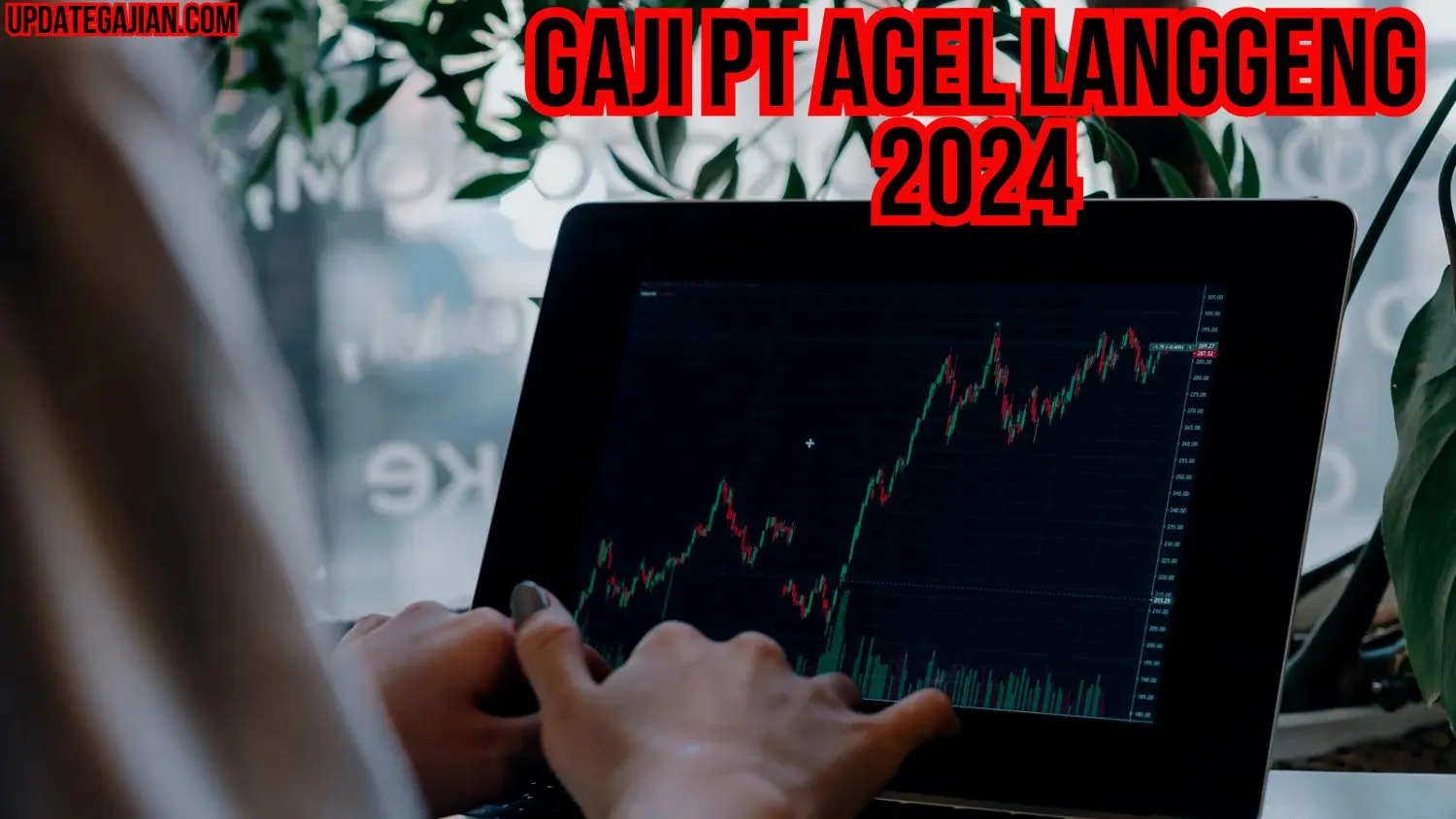 Gaji Pt Agel Langgeng 2024