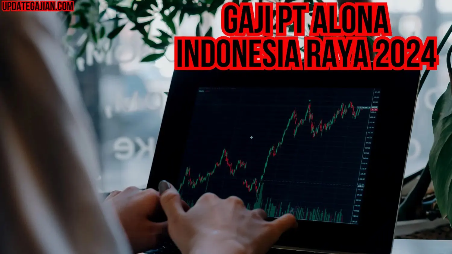 Gaji Pt Alona Indonesia Raya 2024