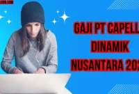 Gaji Pt Capella Dinamik Nusantara 2024