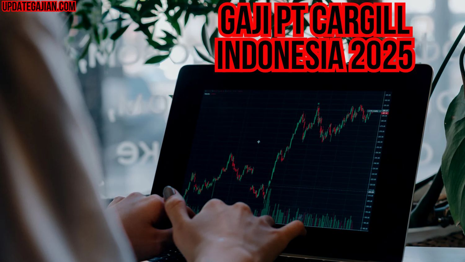 Gaji Pt Cargill Indonesia 2025