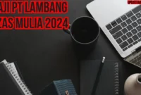 Gaji Pt Lambang Azas Mulia 2024