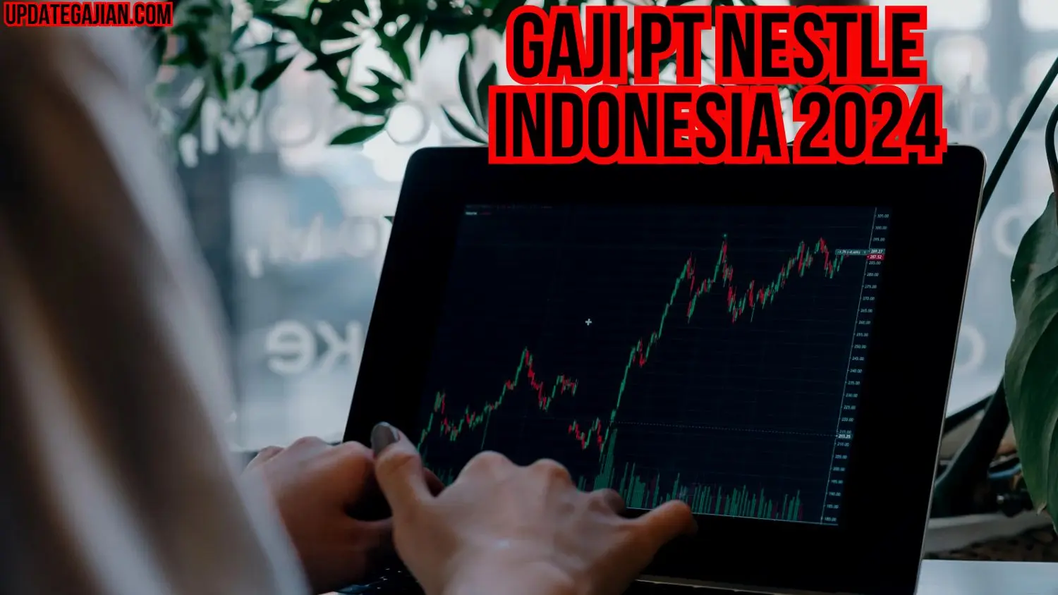 Gaji Pt Nestle Indonesia 2024