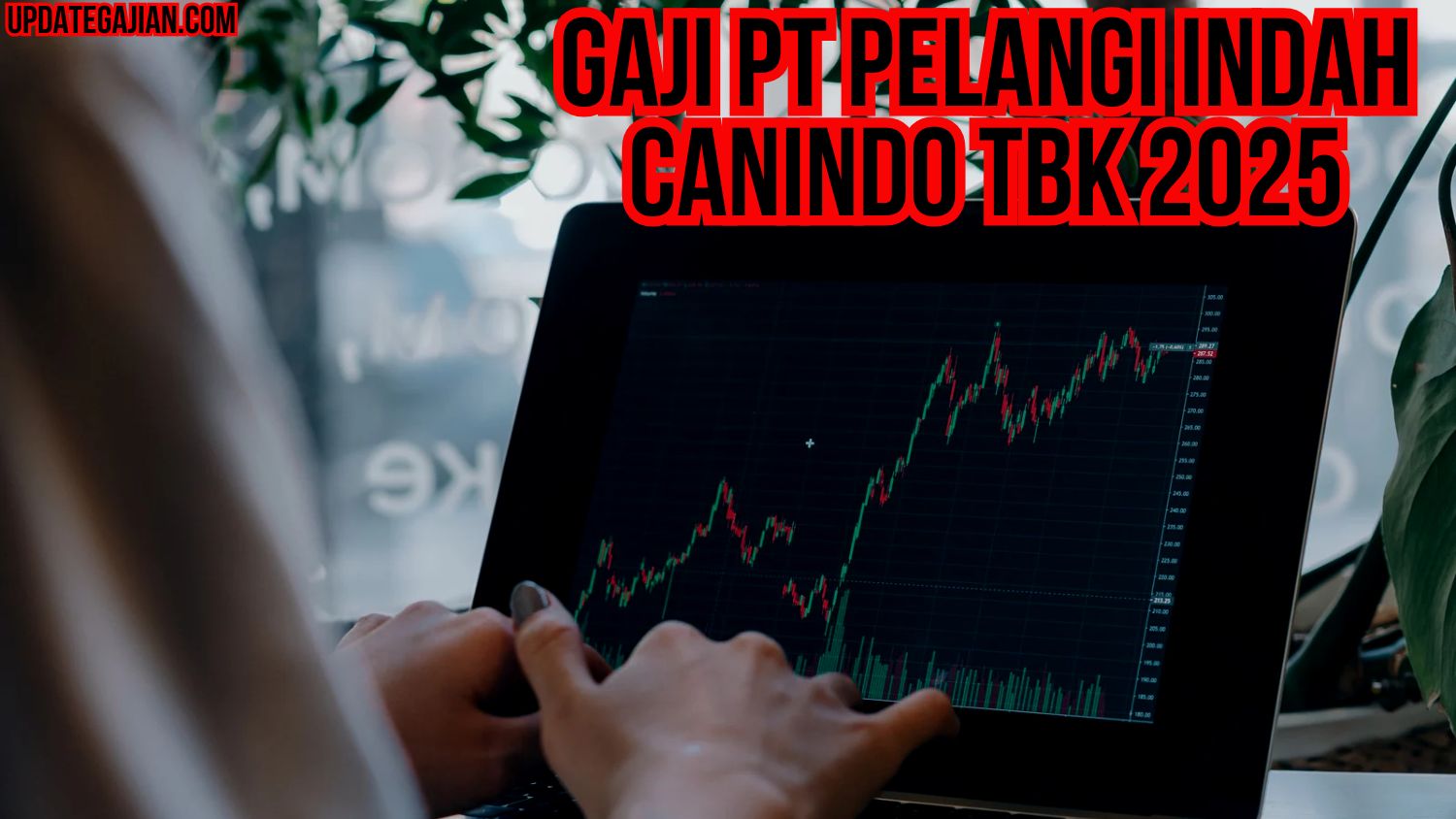 Gaji Pt Pelangi Indah Canindo Tbk 2025