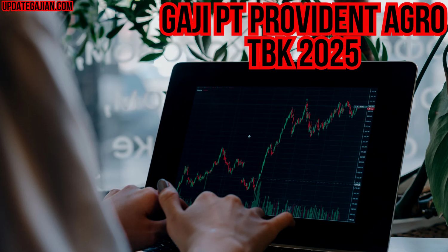 Gaji Pt Provident Agro Tbk 2025