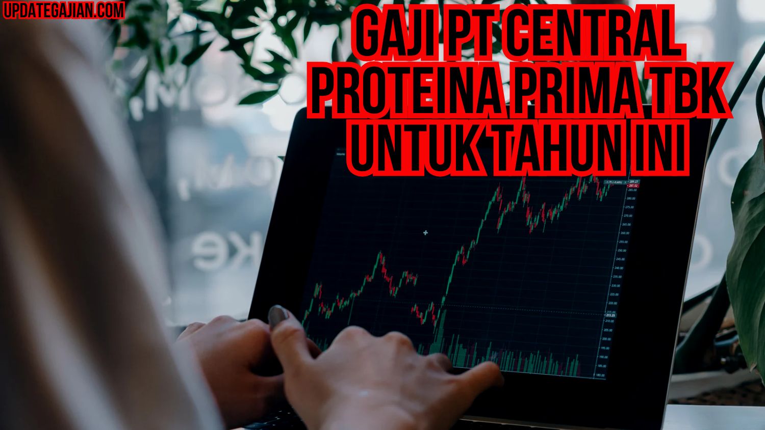 Gaji Pt Central Proteina Prima Tbk Untuk Tahun Ini