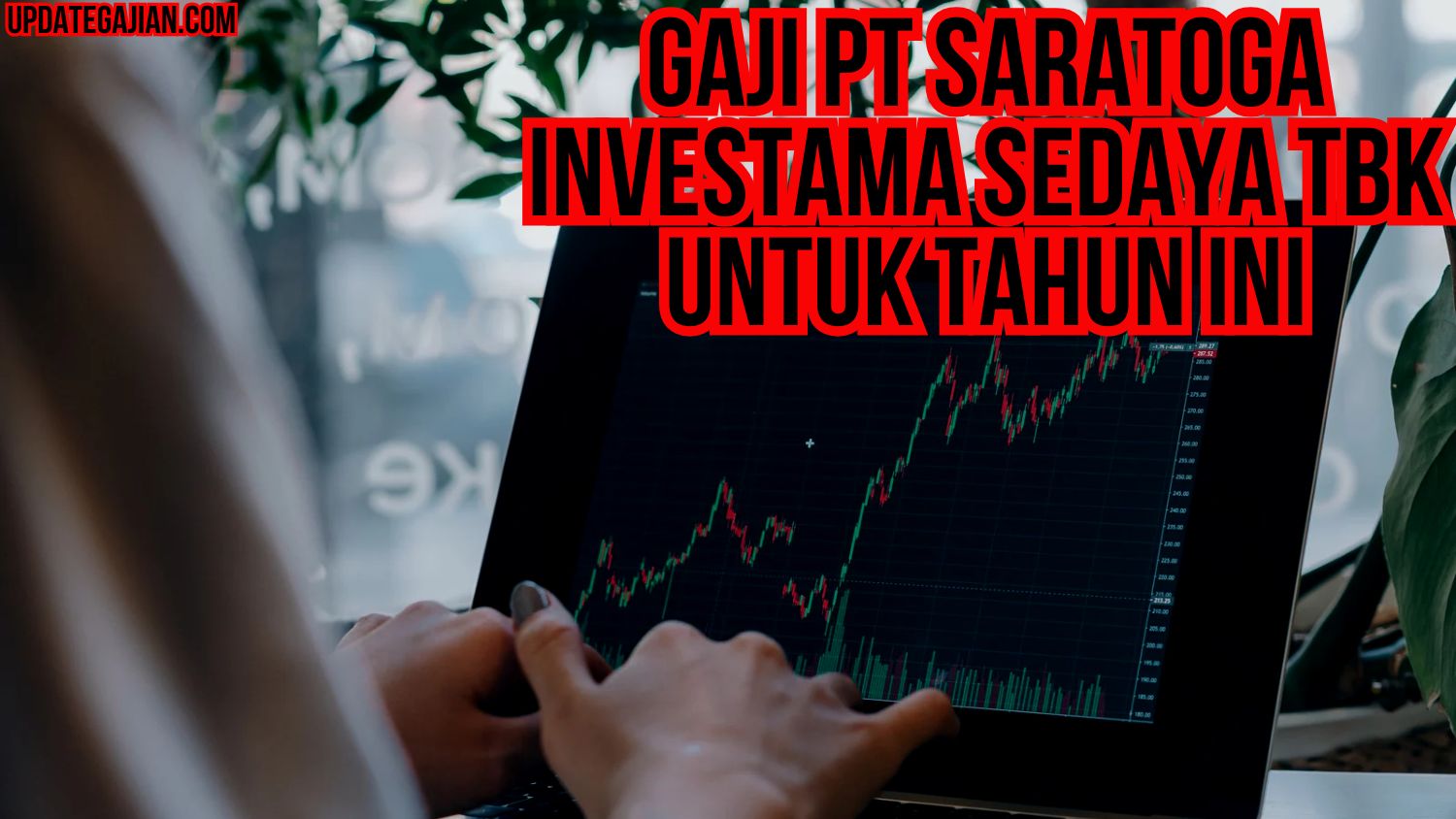 Gaji Pt Saratoga Investama Sedaya Tbk Untuk Tahun Ini