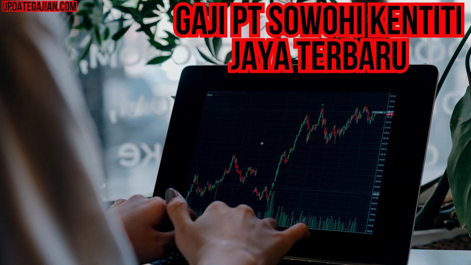 Gaji Pt Sowohi Kentiti Jaya Terbaru