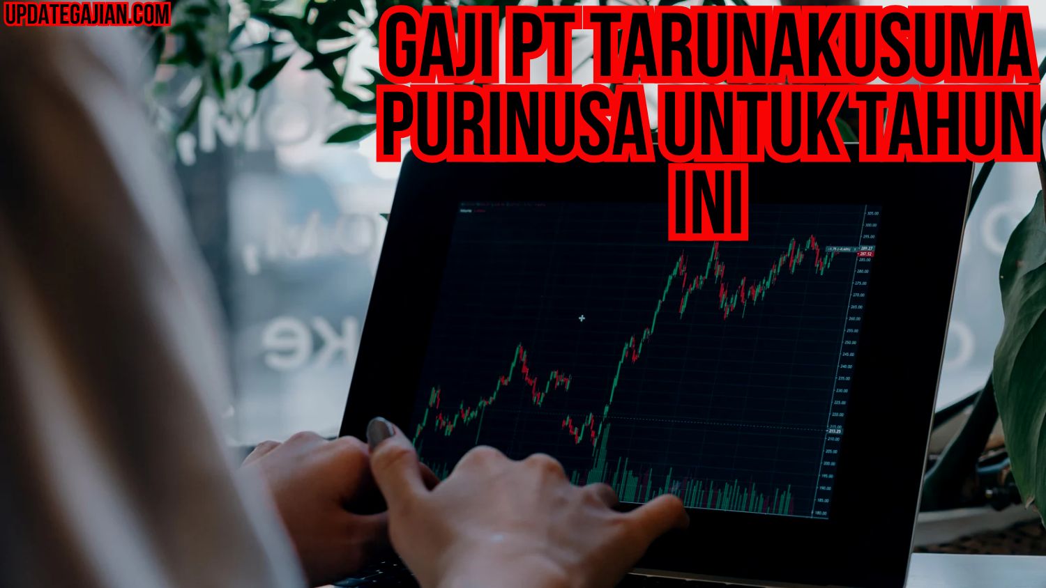 Gaji Pt Tarunakusuma Purinusa Untuk Tahun Ini