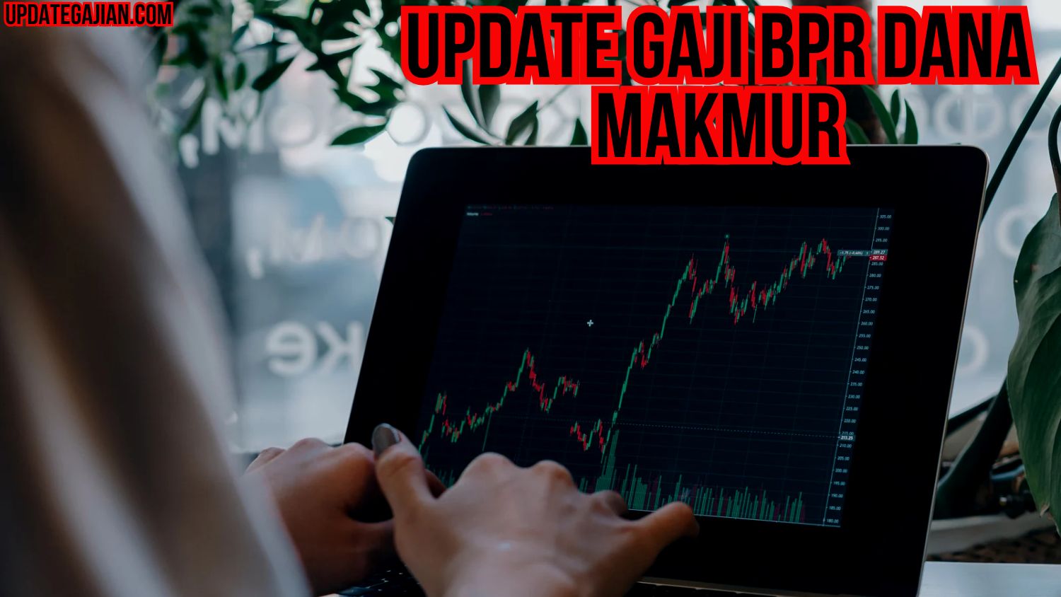 Update Gaji Bpr Dana Makmur