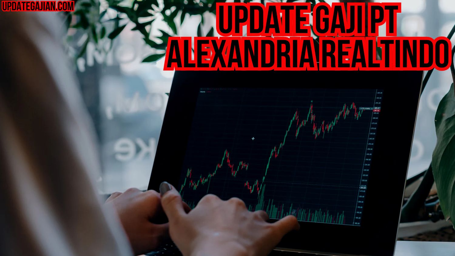 Update Gaji PT Alexandria Realtindo