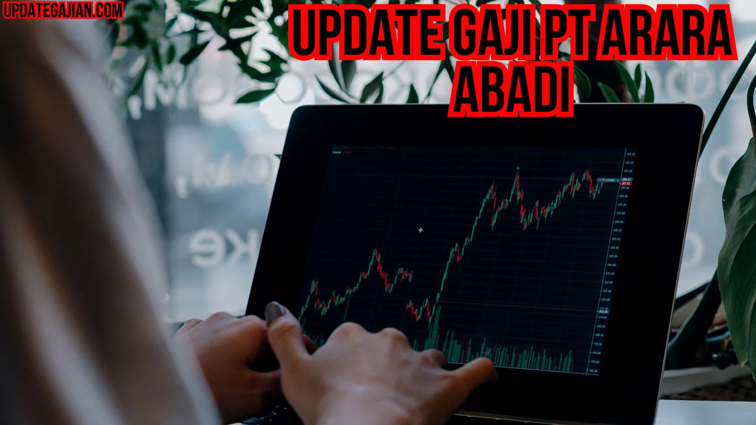 Update Gaji PT Arara Abadi