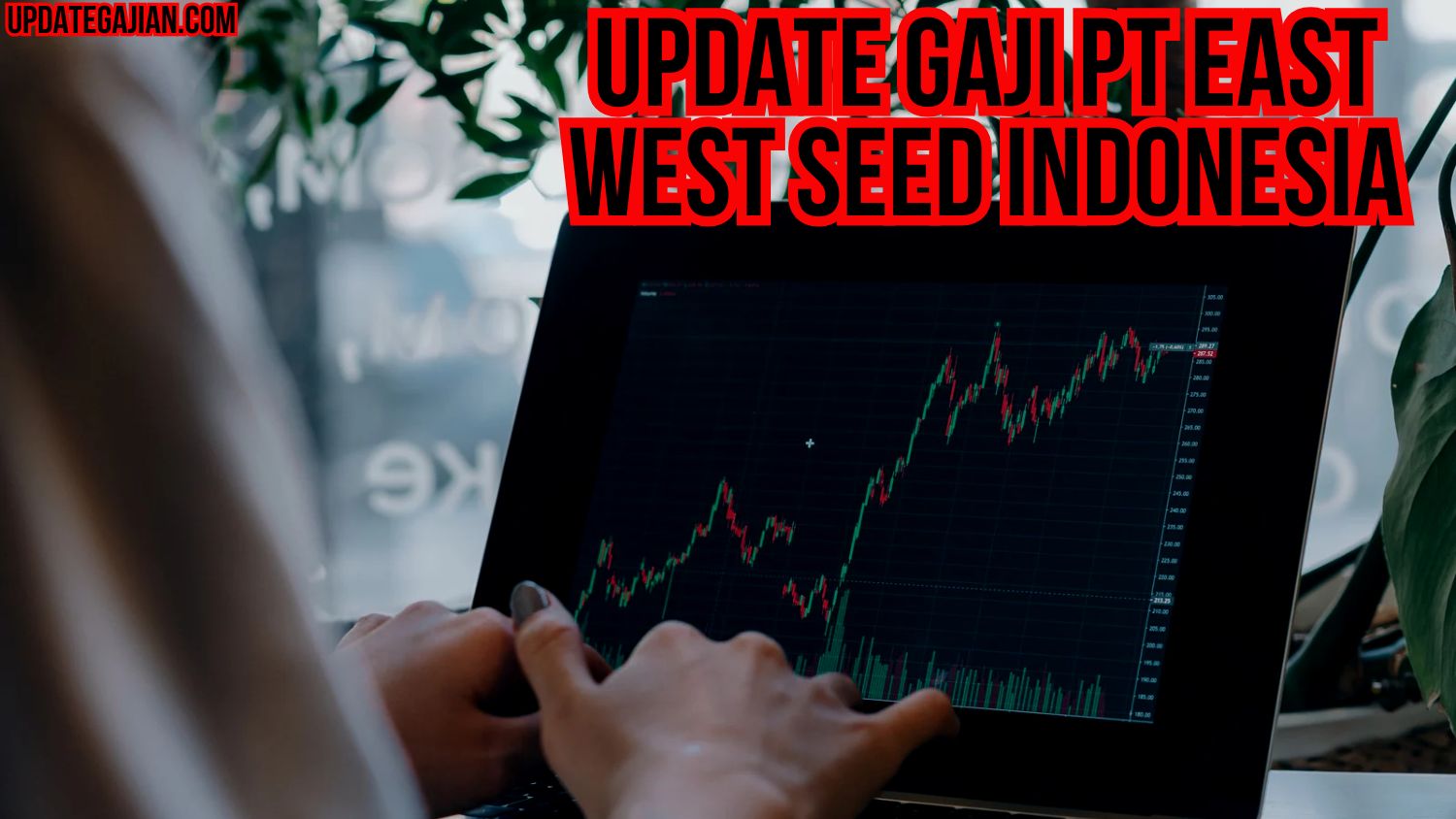 Update Gaji PT East West Seed Indonesia