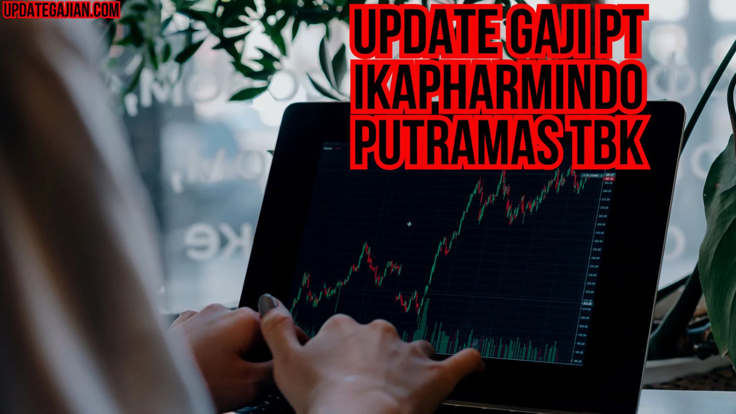 Update Gaji PT Ikapharmindo Putramas Tbk