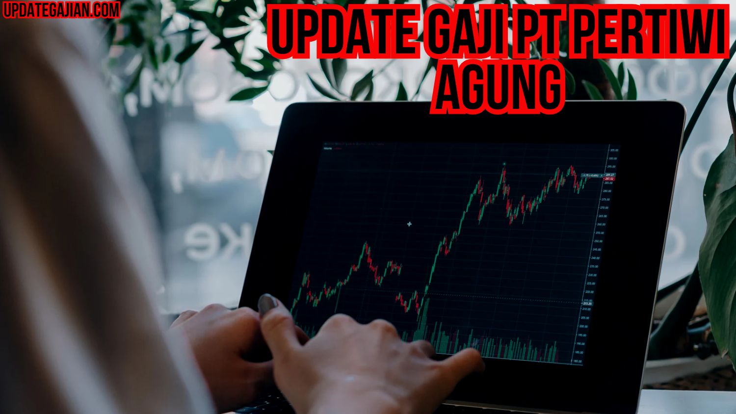 Update Gaji PT Pertiwi Agung