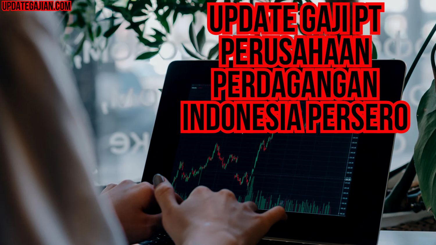 Update Gaji PT Perusahaan Perdagangan Indonesia Persero