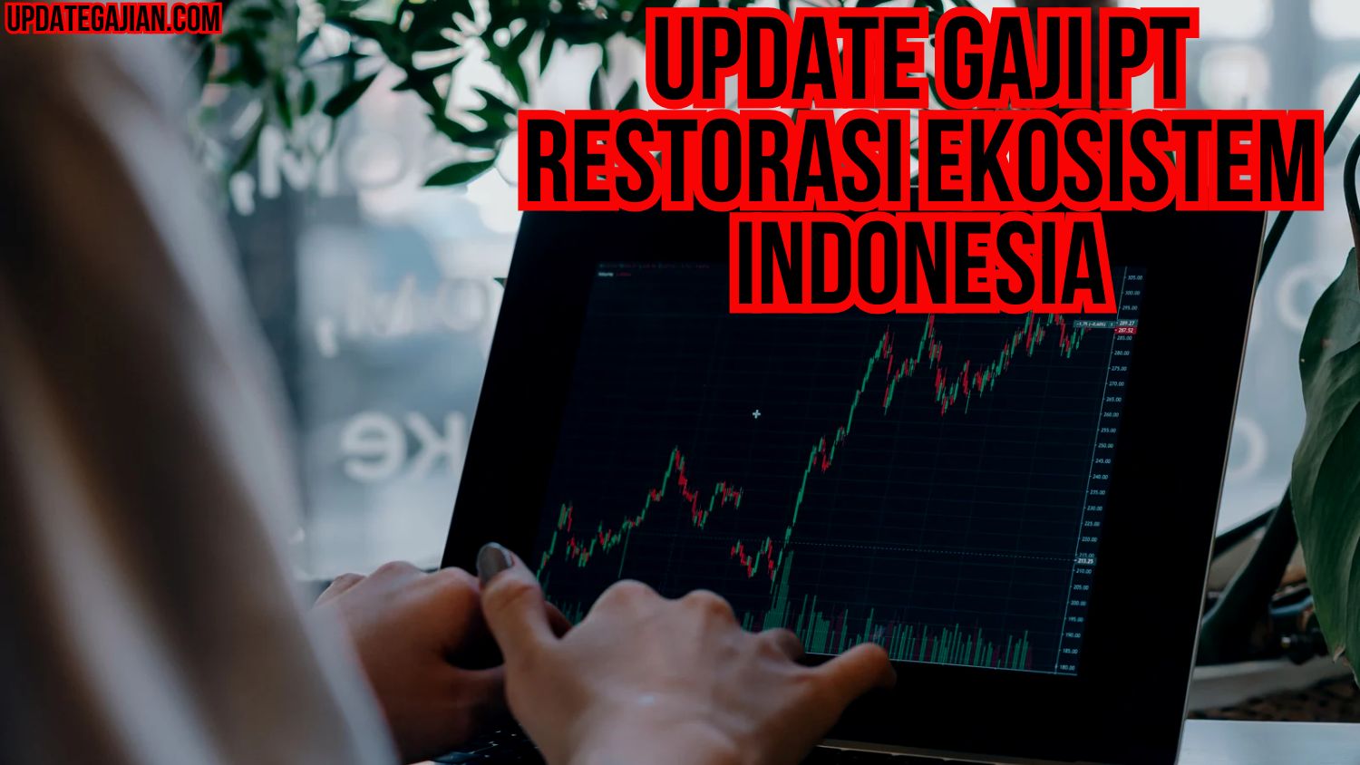 Update Gaji PT Restorasi Ekosistem Indonesia